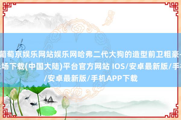 葡萄京娱乐网站娱乐网哈弗二代大狗的造型前卫粗豪-葡萄京娱乐场下载(中国大陆)平台官方网站 IOS/安卓最新版/手机APP下载