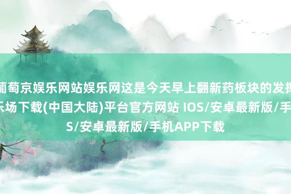 葡萄京娱乐网站娱乐网这是今天早上翻新药板块的发挥-葡萄京娱乐场下载(中国大陆)平台官方网站 IOS/安卓最新版/手机APP下载
