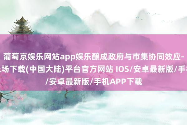 葡萄京娱乐网站app娱乐酿成政府与市集协同效应-葡萄京娱乐场下载(中国大陆)平台官方网站 IOS/安卓最新版/手机APP下载